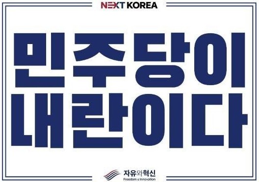 피켓 뒷면. 민주당이 내란이다